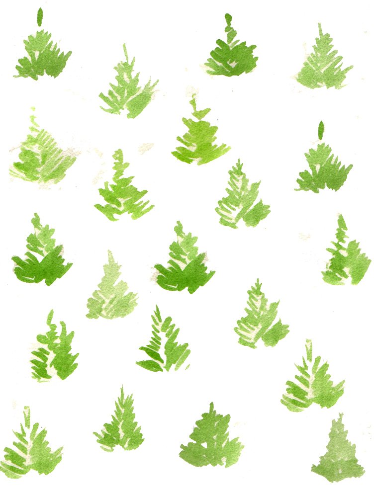 An Old Fashioned Tree