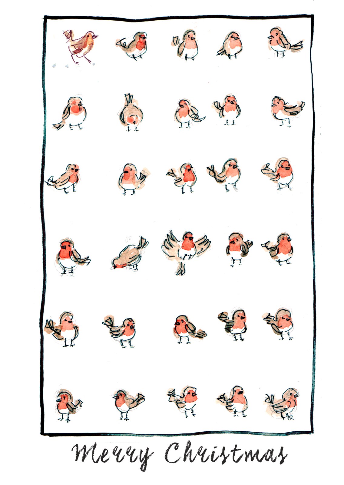Robin Redbreast