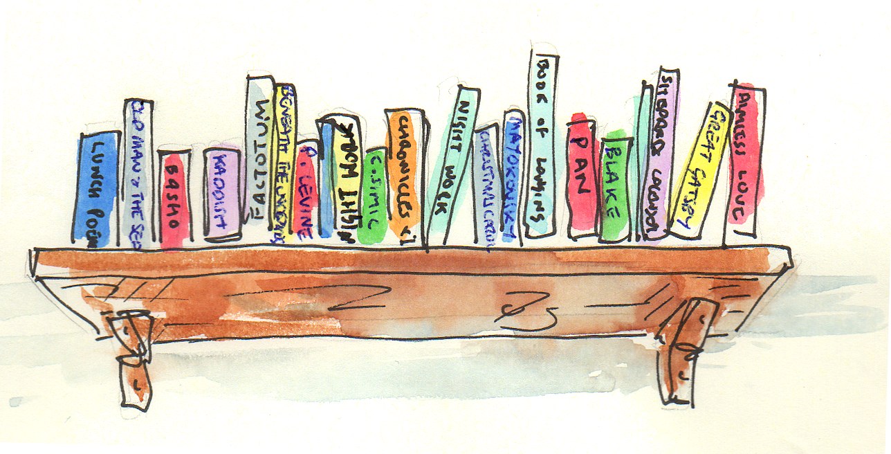 Bookshelf illustration